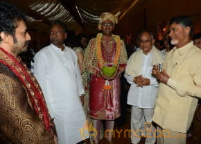 Balakrishna's Daughter Tejaswini Wedding Photos Gallery  photo 33
