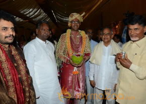Balakrishna's Daughter Tejaswini Wedding Photos Gallery  photo 49