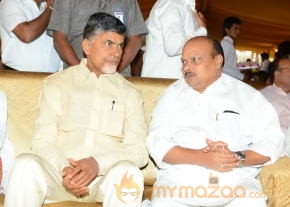 Balakrishna's Daughter Tejaswini Wedding Photos Gallery  photo 133