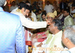 Balakrishna's Daughter Tejaswini Wedding Photos Gallery  photo 53