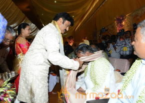 Balakrishna's Daughter Tejaswini Wedding Photos Gallery  photo 123