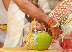 Balakrishna's Daughter Tejaswini Wedding Photos Gallery  photo 30