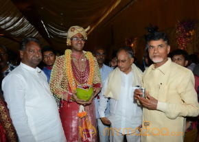Balakrishna's Daughter Tejaswini Wedding Photos Gallery  photo 216