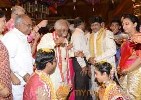 Balakrishna's Daughter Tejaswini Weds Sri Bharat Wedding Photos  photo 57