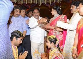 Balakrishna's Daughter Tejaswini Weds Sri Bharat Wedding Photos  photo 33