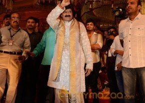 Balakrishna's Daughter Tejaswini Weds Sri Bharat Wedding Photos  photo 31