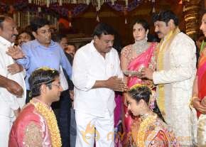 Balakrishna's Daughter Tejaswini Weds Sri Bharat Wedding Photos  photo 54