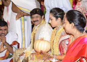 Balakrishna's Daughter Tejaswini Weds Sri Bharat Wedding Photos  photo 95