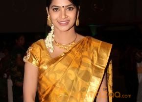 Celebrities at Shivaji Raja Daughter Wedding Photos  photo 227