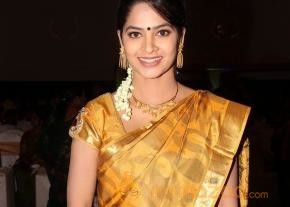 Celebrities at Shivaji Raja Daughter Wedding Photos  photo 8