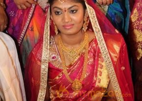 Celebrities at Shivaji Raja Daughter Wedding Photos  photo 17