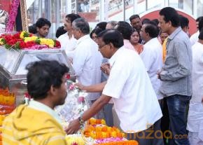 Celebrities pay homage to ANR Photos - 1  photo 181