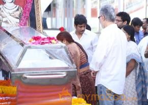 Celebrities pay homage to ANR Photos - 2  photo 23