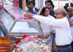 Celebrities pay homage to ANR Photos - 3  photo 188