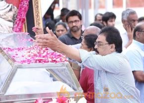 Celebrities pay homage to ANR Photos - 3  photo 122