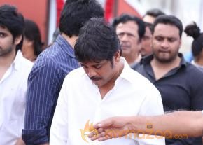 Celebrities pay homage to ANR Photos - 3  photo 175