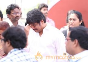 Celebrities pay homage to ANR Photos - 3  photo 173