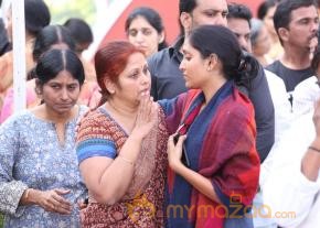 Celebrities pay homage to ANR Photos - 3  photo 119