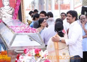 Celebrities pay homage to ANR Photos - 3  photo 71