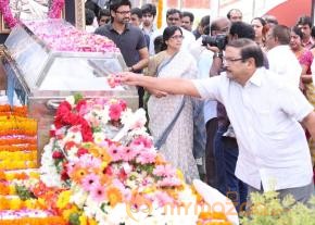 Celebrities pay homage to ANR Photos - 3  photo 164