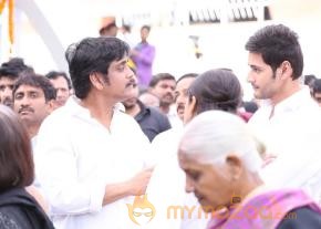Celebrities pay homage to ANR Photos - 3  photo 192