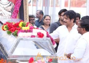 Celebrities pay homage to ANR Photos - 3  photo 105