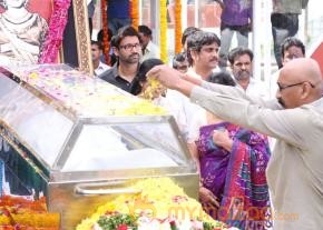 Celebrities pay homage to ANR Photos - 4  photo 246