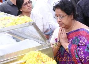 Celebrities pay homage to ANR Photos - 4  photo 119