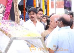 Celebrities pay homage to ANR Photos - 4  photo 151