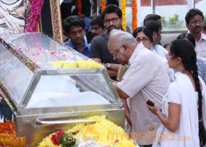 Celebrities pay homage to ANR Photos - 4  photo 168