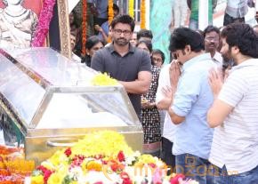 Celebrities pay homage to ANR Photos - 4  photo 228