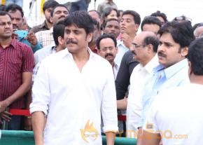 Celebrities pay homage to ANR Photos - 4  photo 149