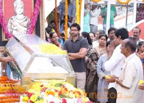 Celebrities pay homage to ANR Photos - 4  photo 248