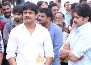 Celebrities pay homage to ANR Photos - 4  photo 234