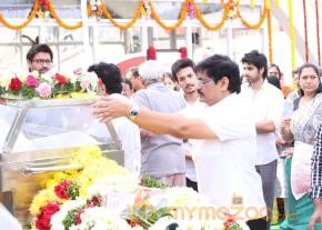 Celebrities pay homage to ANR Photos - 4  photo 220