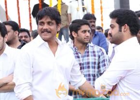 Celebrities pay homage to ANR Photos - 4  photo 205