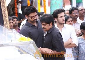 Celebrities pay homage to ANR Photos - 4  photo 202