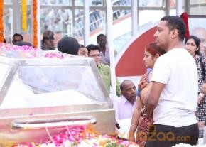 Celebrities pay homage to ANR Photos - 5  photo 179