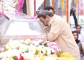 Celebrities pay homage to ANR Photos - 5  photo 199