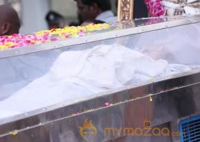 Celebrities pay homage to ANR Photos - 5  photo 196
