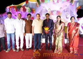 Prathani Rama Krishna Goud Son's Wedding Reception Photos  photo 8