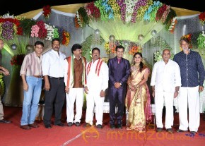 Prathani Rama Krishna Goud Son's Wedding Reception Photos  photo 6