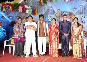Prathani Rama Krishna Goud Son's Wedding Reception Photos  photo 3
