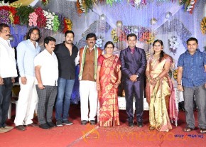 Prathani Rama Krishna Goud Son's Wedding Reception Photos  photo 7