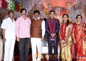 Prathani Rama Krishna Goud Son's Wedding Reception Photos  photo 2