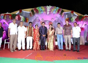 Prathani Rama Krishna Goud Son's Wedding Reception Photos  photo 10