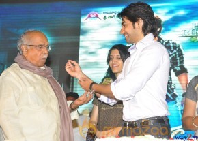 Sushanth Birthday Celebrations 2013 Photos  photo 16