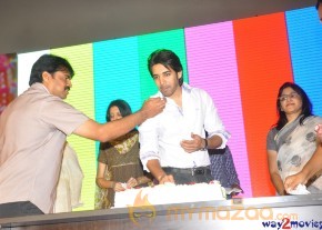 Sushanth Birthday Celebrations 2013 Photos  photo 29