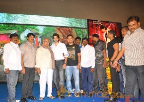 Sushanth Birthday Celebrations 2013 Photos  photo 24