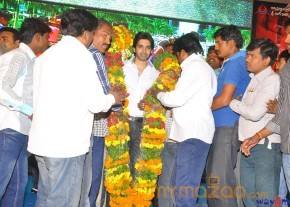 Sushanth Birthday Celebrations 2013 Photos  photo 5
